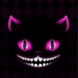 Meet your Posher, Brandi